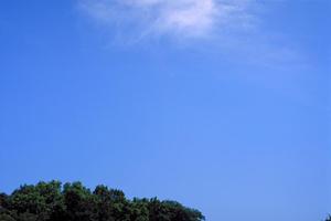 大阪でお墓を作ろうと考えているなら