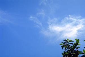 お年寄りや体の不自由な人でも安心なお墓