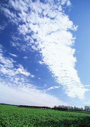 遺族や故人の思い通りの葬儀にする