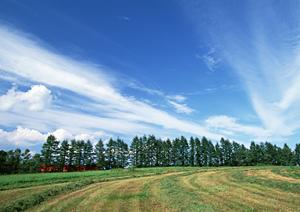 浜松市中央区の信頼と実績を誇る富士葬祭 植松町：安心の家族葬・一般葬を実現する葬儀場の詳細ガイド