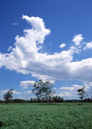 静岡県富士市に新規オープンした家族葬のタクセル国久保の特徴と詳細情報