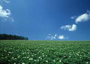 静岡市葵区の家族葬をサポートする【家族葬のタクセル長沼】｜安心の料金と充実のサービス