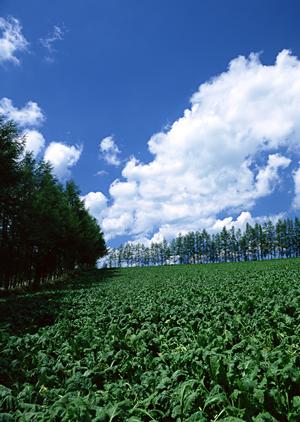 滝野川エリアで選ばれる税理士事務所の秘密｜信頼と実績で選ぶ最適なパートナー