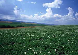 静岡県富士宮市の家族葬専門斎場｜家族葬のタクセル光町の特徴と詳細情報