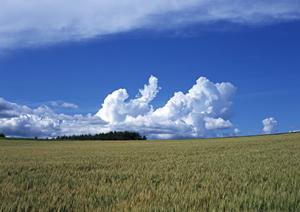 【完全ガイド】静岡県浜松市中央区の家族葬専門斎場「家族葬のタクセル天竜川駅前」の特徴と魅力