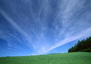 盛岡市で永代供養のアドバイスを受ける