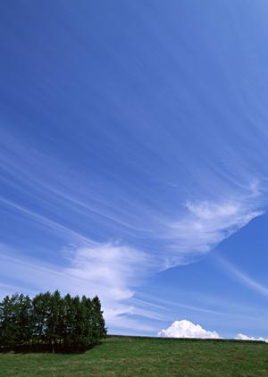 家族葬に強い葬儀サービスが魅力