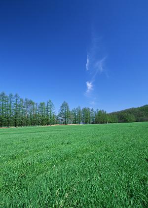 静岡県で低価格かつ安心な葬儀を実現！家族葬のタクセルが提供する豊富なプランと施設情報