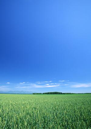 静岡市の安心葬儀を実現する富士葬祭 静岡?多彩な葬儀プランと便利なサービスを徹底解説