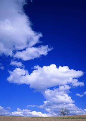 お子さんがいない方もいる方もまずは相談