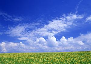 川越周辺で亡くなった人に配慮した葬儀