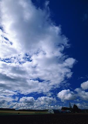 大分市で心のこもった葬儀をしましょう