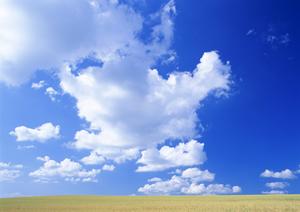 鹿児島で安心の葬儀を実現するための完全ガイド【2025年最新版】