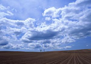 東冠メモリアルプラザ越谷 – 満足のいく葬儀を提供する専門施設