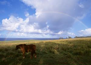 静岡市で安心の葬儀を提供【富士葬祭 材木町】?家族葬・一般葬から火葬までをサポート