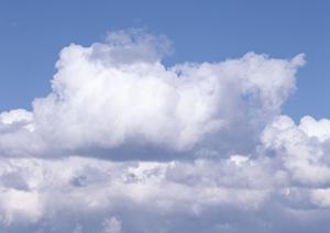 大阪のペット葬式完全ガイド：信頼できるサービスと心温まる別れの方法