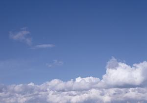 東京で永代供養墓を探しているならゆめみどう