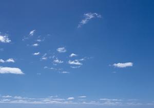 さいたま市で葬儀の相談をしたいなら