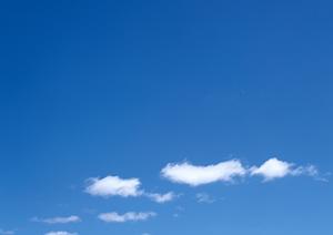 静岡市に根ざした家族葬・一般葬を提供する富士葬祭 瀬名の詳しいご案内