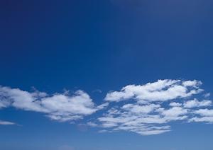 西東京市で葬儀を上げる場合にはどこ