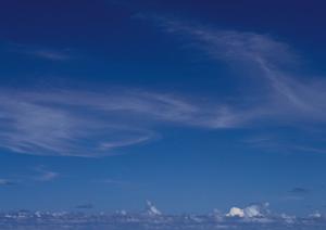 葬儀に関する取り組みを紹介します