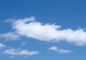 住んでいる近くで仏像販売している店