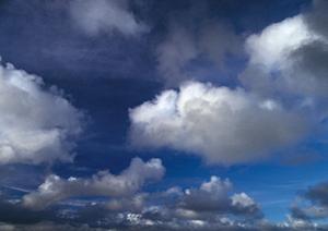 鹿児島での葬式の選び方完全ガイド：家族葬から費用まで知っておくべきポイント