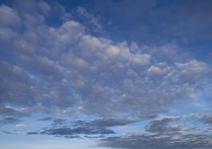 403 Forbiddenエラーの原因と対処法：ウェブサイトアクセスを安全に確保する方法