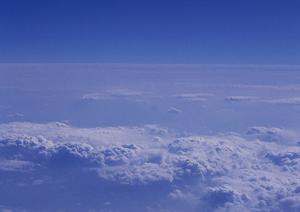 東京での浄土真宗の永代供養墓選びガイド：安心・便利な供養方法を徹底解説