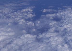 神奈川全域で展開するペット火葬専門会社